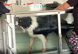 Rehabilitační cvičení - diagnóza akutní polyradikuloneuritida.